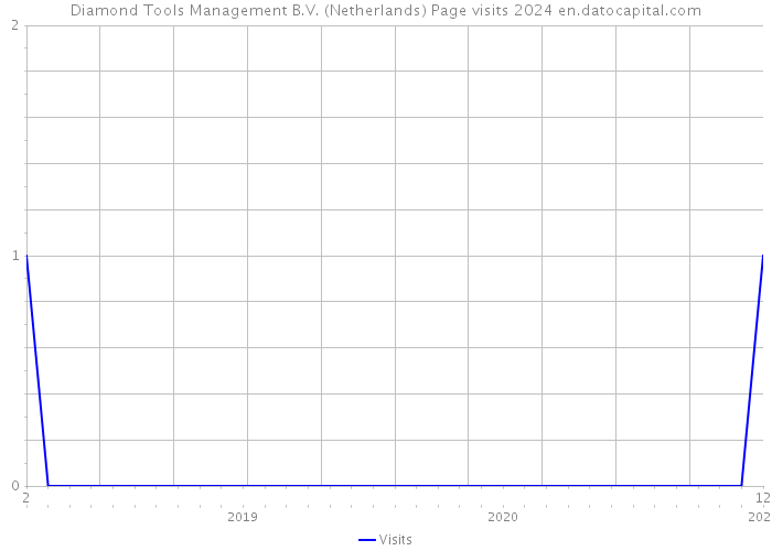 Diamond Tools Management B.V. (Netherlands) Page visits 2024 