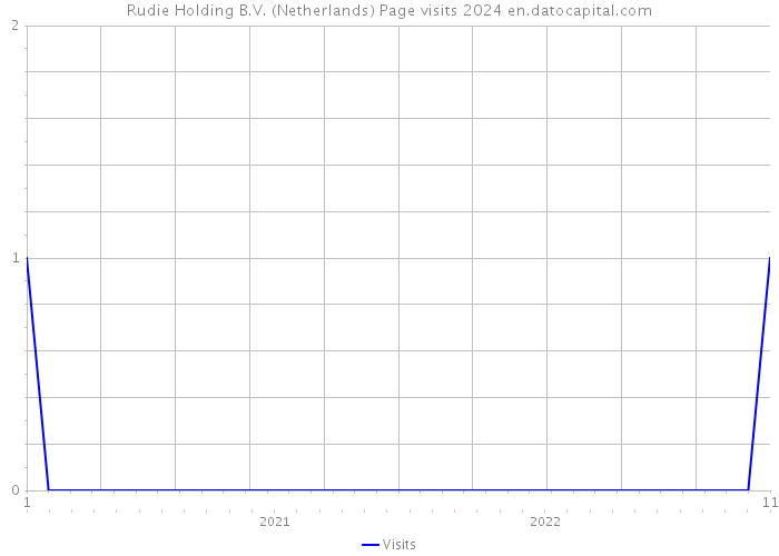 Rudie Holding B.V. (Netherlands) Page visits 2024 