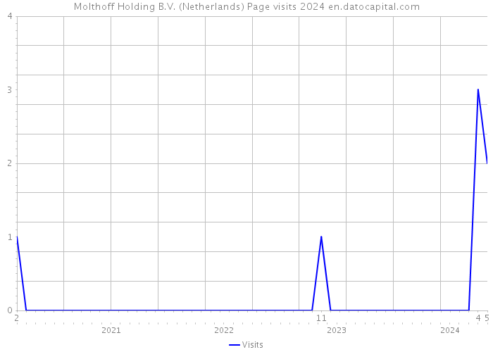 Molthoff Holding B.V. (Netherlands) Page visits 2024 