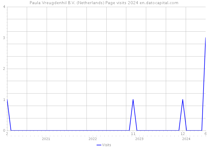 Paula Vreugdenhil B.V. (Netherlands) Page visits 2024 