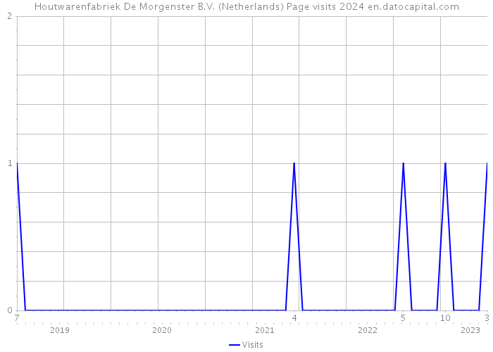 Houtwarenfabriek De Morgenster B.V. (Netherlands) Page visits 2024 
