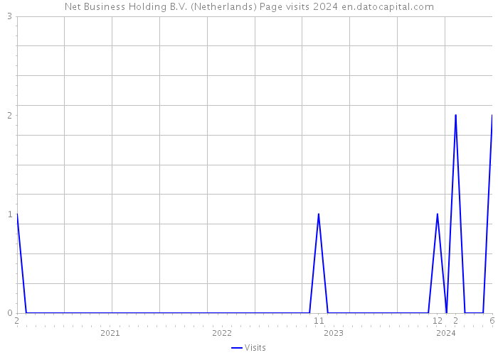Net Business Holding B.V. (Netherlands) Page visits 2024 