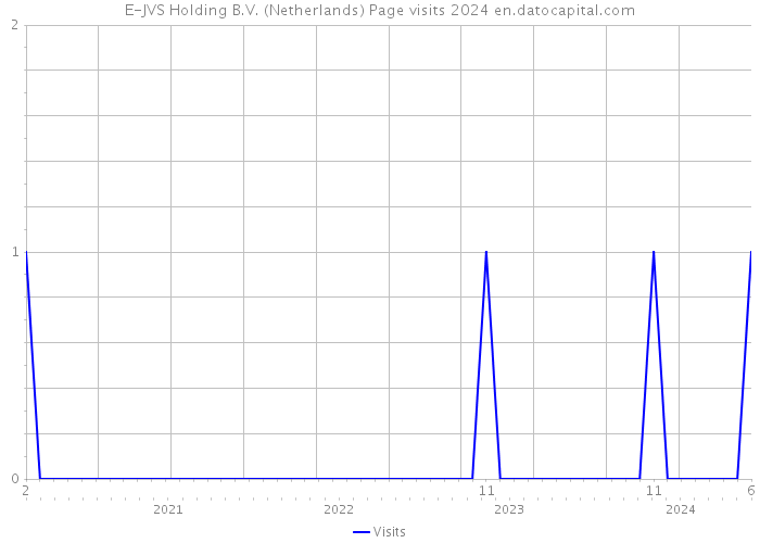 E-JVS Holding B.V. (Netherlands) Page visits 2024 