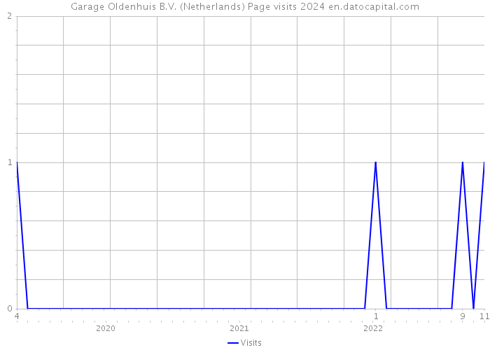 Garage Oldenhuis B.V. (Netherlands) Page visits 2024 