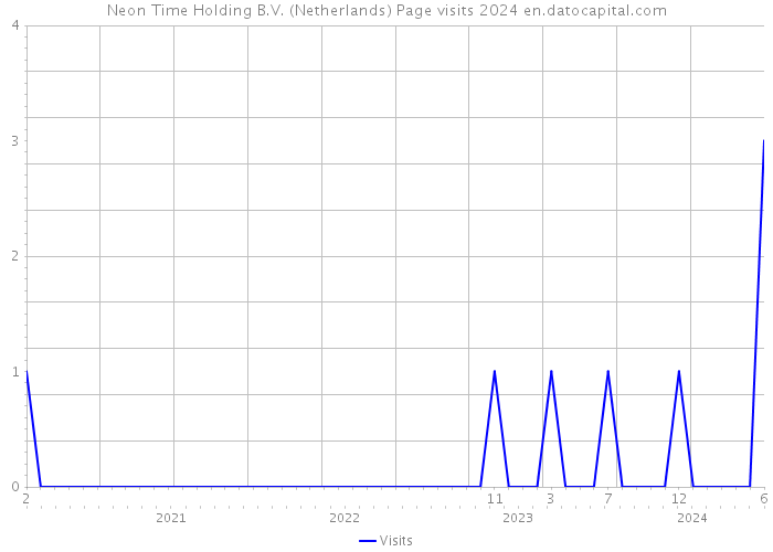Neon Time Holding B.V. (Netherlands) Page visits 2024 