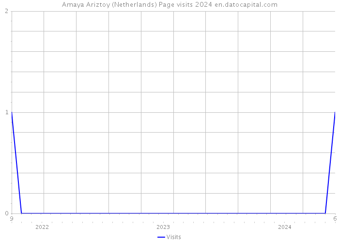 Amaya Ariztoy (Netherlands) Page visits 2024 