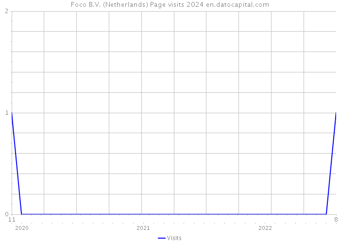 Foco B.V. (Netherlands) Page visits 2024 