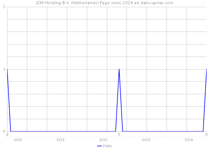 JGM Holding B.V. (Netherlands) Page visits 2024 