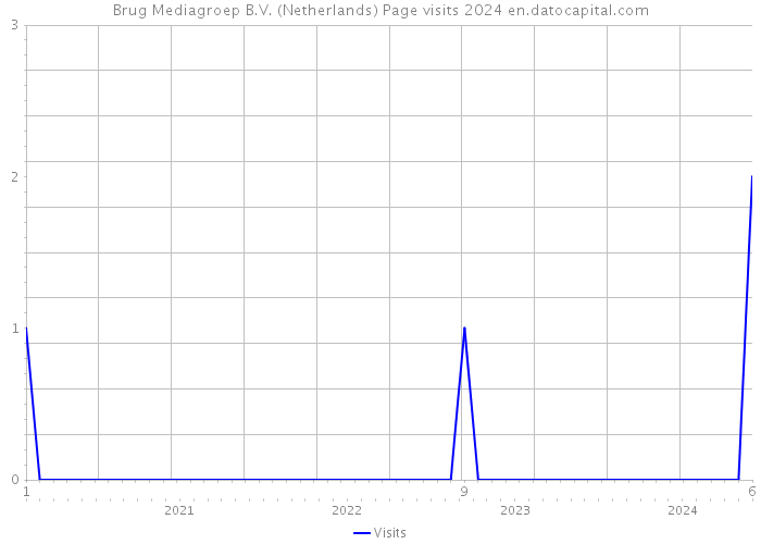 Brug Mediagroep B.V. (Netherlands) Page visits 2024 