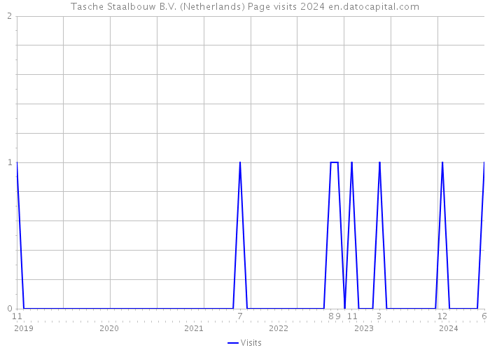 Tasche Staalbouw B.V. (Netherlands) Page visits 2024 