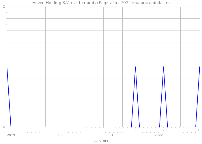 Hoven Holding B.V. (Netherlands) Page visits 2024 