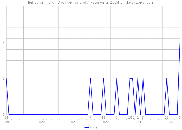 Beheersmij Bruil B.V. (Netherlands) Page visits 2024 