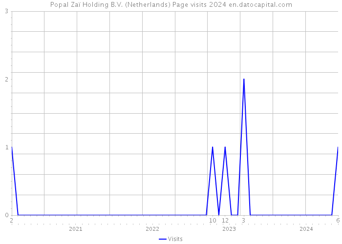 Popal Zaï Holding B.V. (Netherlands) Page visits 2024 