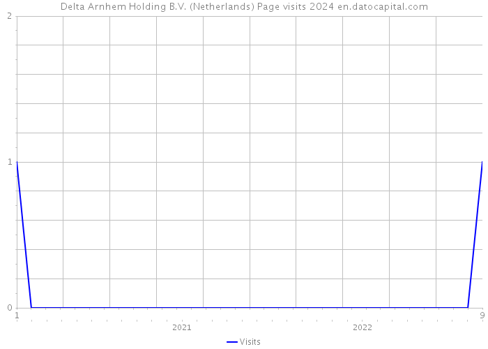 Delta Arnhem Holding B.V. (Netherlands) Page visits 2024 