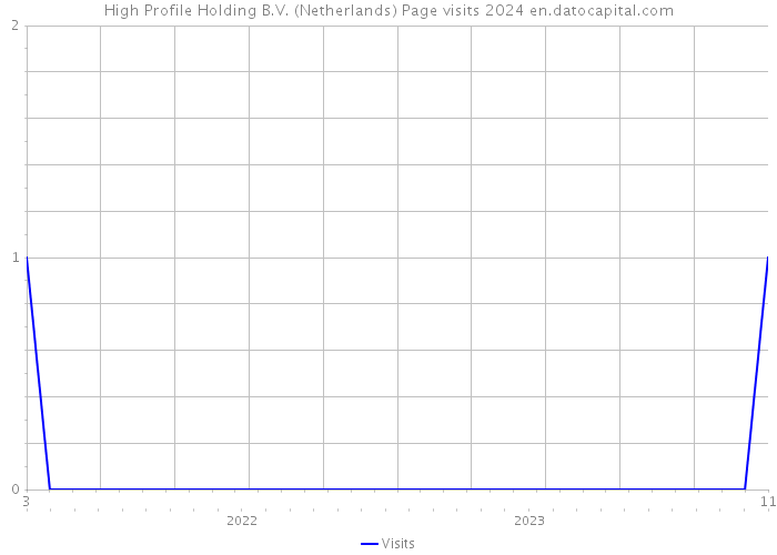 High Profile Holding B.V. (Netherlands) Page visits 2024 