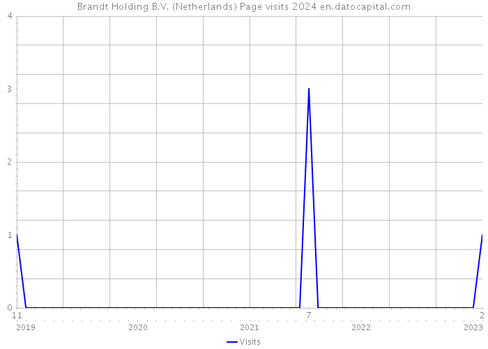 Brandt Holding B.V. (Netherlands) Page visits 2024 