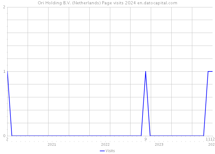 Ori Holding B.V. (Netherlands) Page visits 2024 