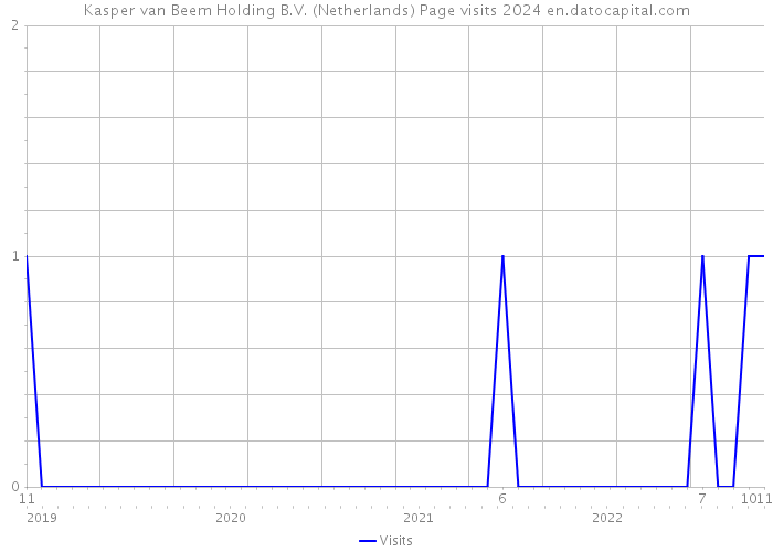 Kasper van Beem Holding B.V. (Netherlands) Page visits 2024 