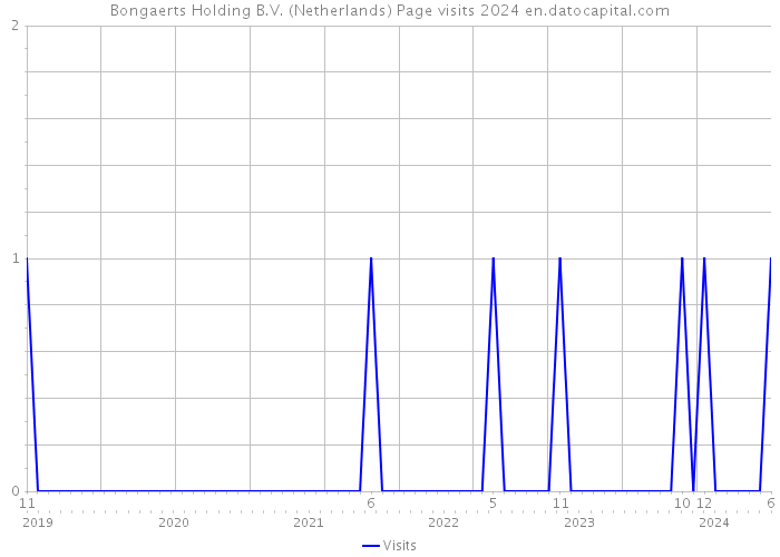 Bongaerts Holding B.V. (Netherlands) Page visits 2024 