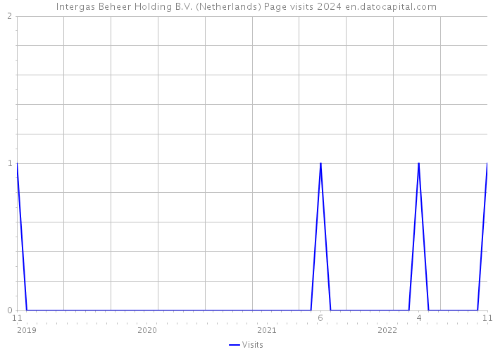 Intergas Beheer Holding B.V. (Netherlands) Page visits 2024 