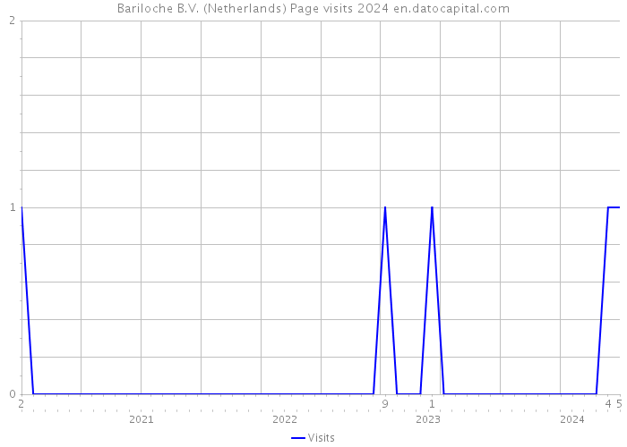Bariloche B.V. (Netherlands) Page visits 2024 
