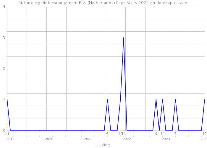 Richard Agelink Management B.V. (Netherlands) Page visits 2024 