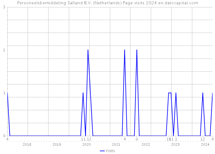 Personeelsbemiddeling Salland B.V. (Netherlands) Page visits 2024 