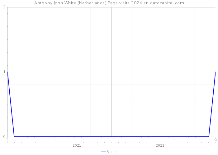 Anthony John White (Netherlands) Page visits 2024 