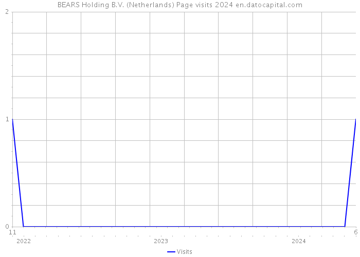 BEARS Holding B.V. (Netherlands) Page visits 2024 