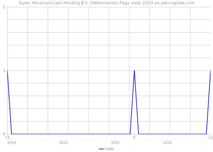 Sumo Hilversum Lam Holding B.V. (Netherlands) Page visits 2024 