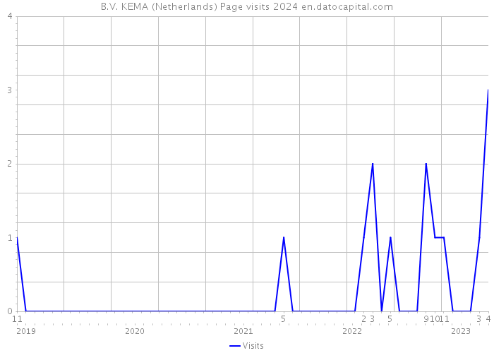 B.V. KEMA (Netherlands) Page visits 2024 
