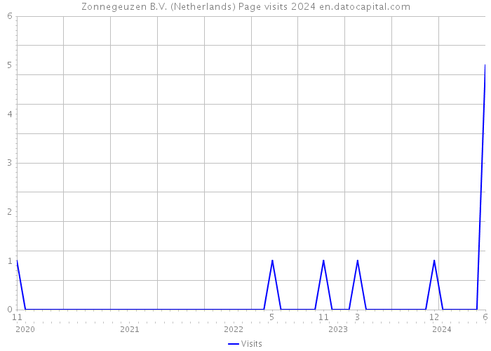 Zonnegeuzen B.V. (Netherlands) Page visits 2024 