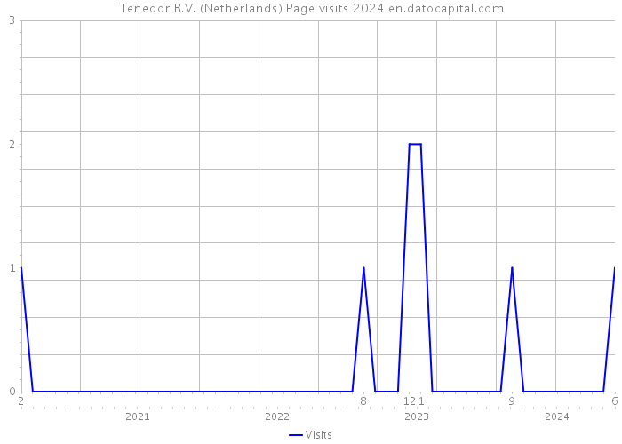 Tenedor B.V. (Netherlands) Page visits 2024 