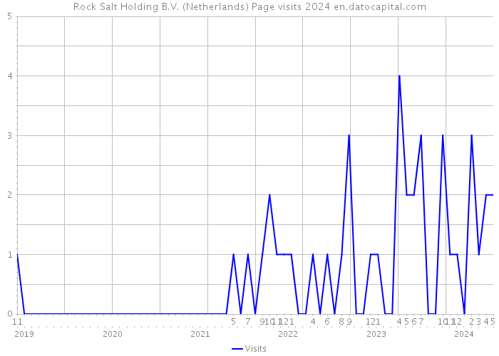 Rock Salt Holding B.V. (Netherlands) Page visits 2024 