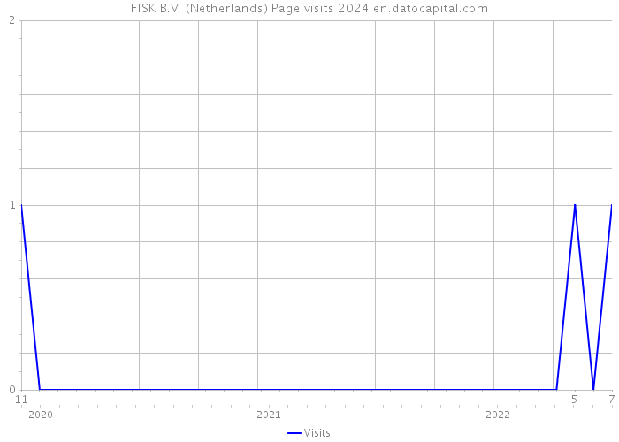 FISK B.V. (Netherlands) Page visits 2024 