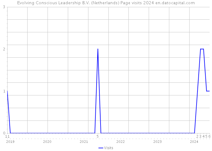 Evolving Conscious Leadership B.V. (Netherlands) Page visits 2024 