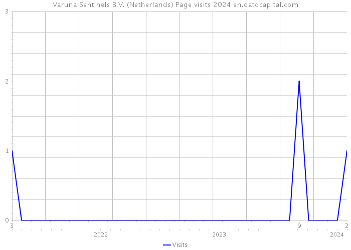 Varuna Sentinels B.V. (Netherlands) Page visits 2024 