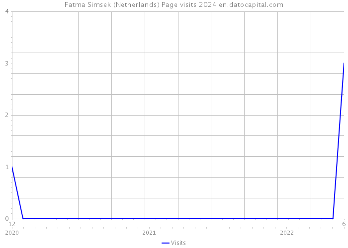 Fatma Simsek (Netherlands) Page visits 2024 