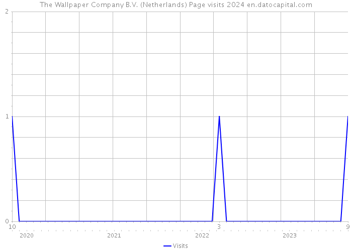 The Wallpaper Company B.V. (Netherlands) Page visits 2024 