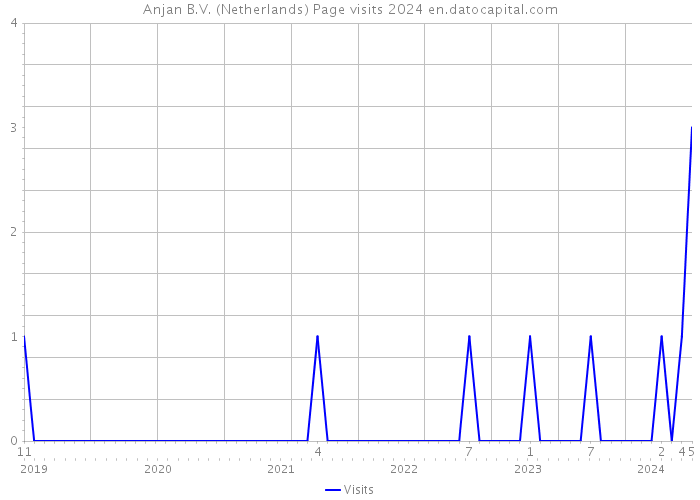 Anjan B.V. (Netherlands) Page visits 2024 