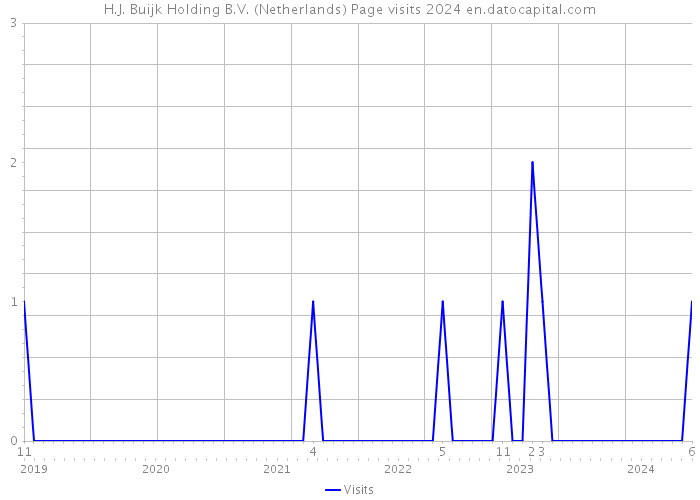 H.J. Buijk Holding B.V. (Netherlands) Page visits 2024 