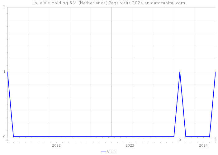 Jolie Vie Holding B.V. (Netherlands) Page visits 2024 