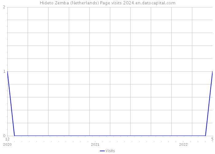 Hideto Zemba (Netherlands) Page visits 2024 