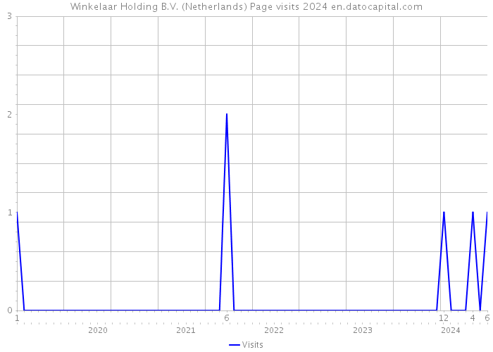 Winkelaar Holding B.V. (Netherlands) Page visits 2024 