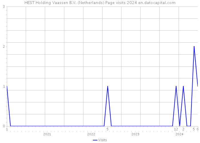 HEST Holding Vaassen B.V. (Netherlands) Page visits 2024 