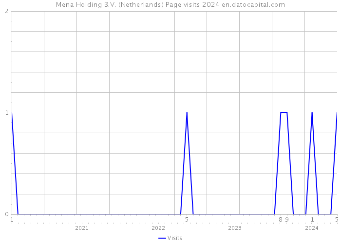 Mena Holding B.V. (Netherlands) Page visits 2024 