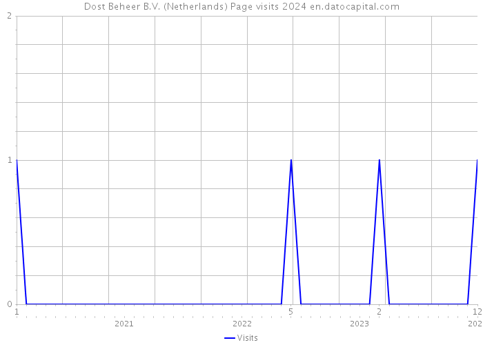 Dost Beheer B.V. (Netherlands) Page visits 2024 