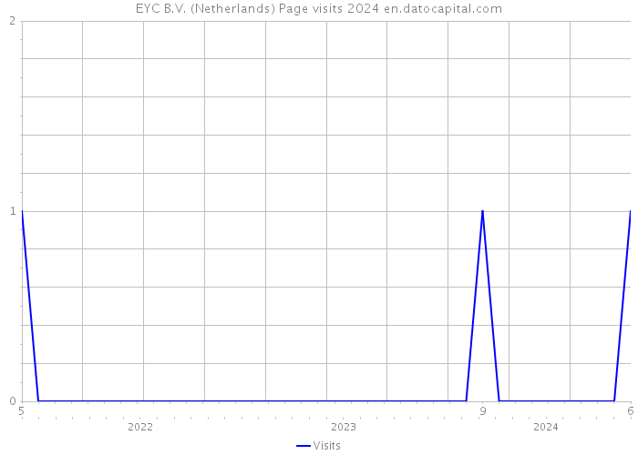 EYC B.V. (Netherlands) Page visits 2024 