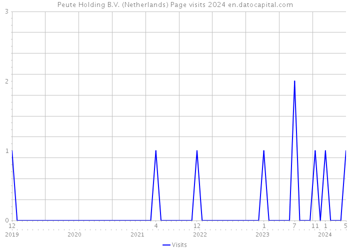Peute Holding B.V. (Netherlands) Page visits 2024 