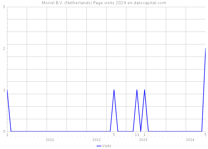 Moriel B.V. (Netherlands) Page visits 2024 